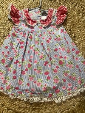 Mustard Pie Pink Rose & Blue Stripe Dress Sz 2
